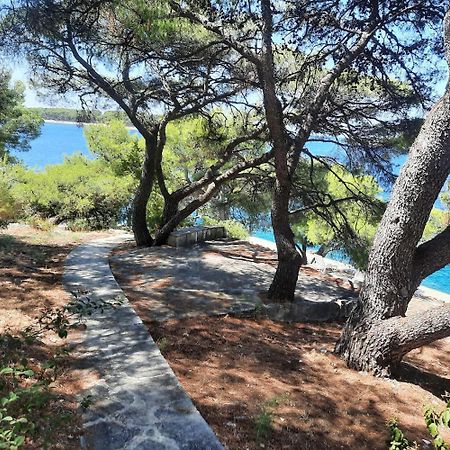 Apartments Polic Primošten Екстериор снимка