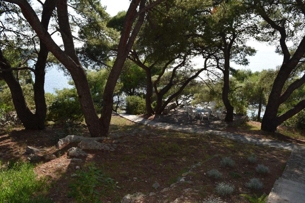 Apartments Polic Primošten Екстериор снимка
